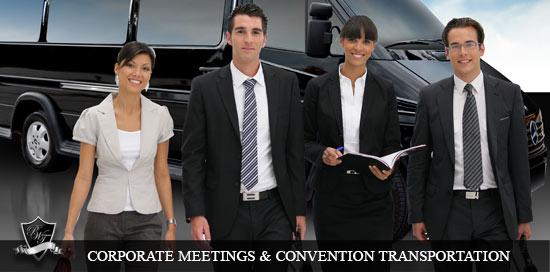 Denver Group Transportation Services