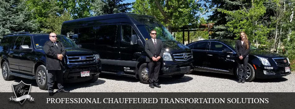 Denver Professional Transportation Services