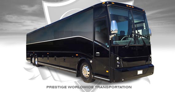 Executive Coach