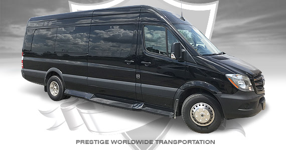 Executive Sprinter Coach